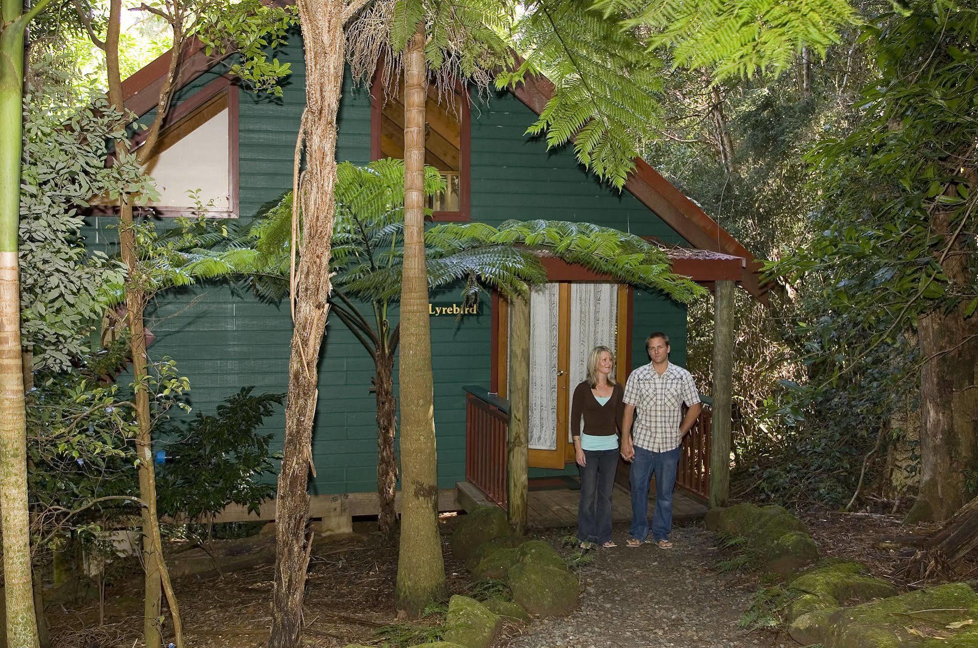 Willa Springbrook Lyrebird Retreat Zewnętrze zdjęcie