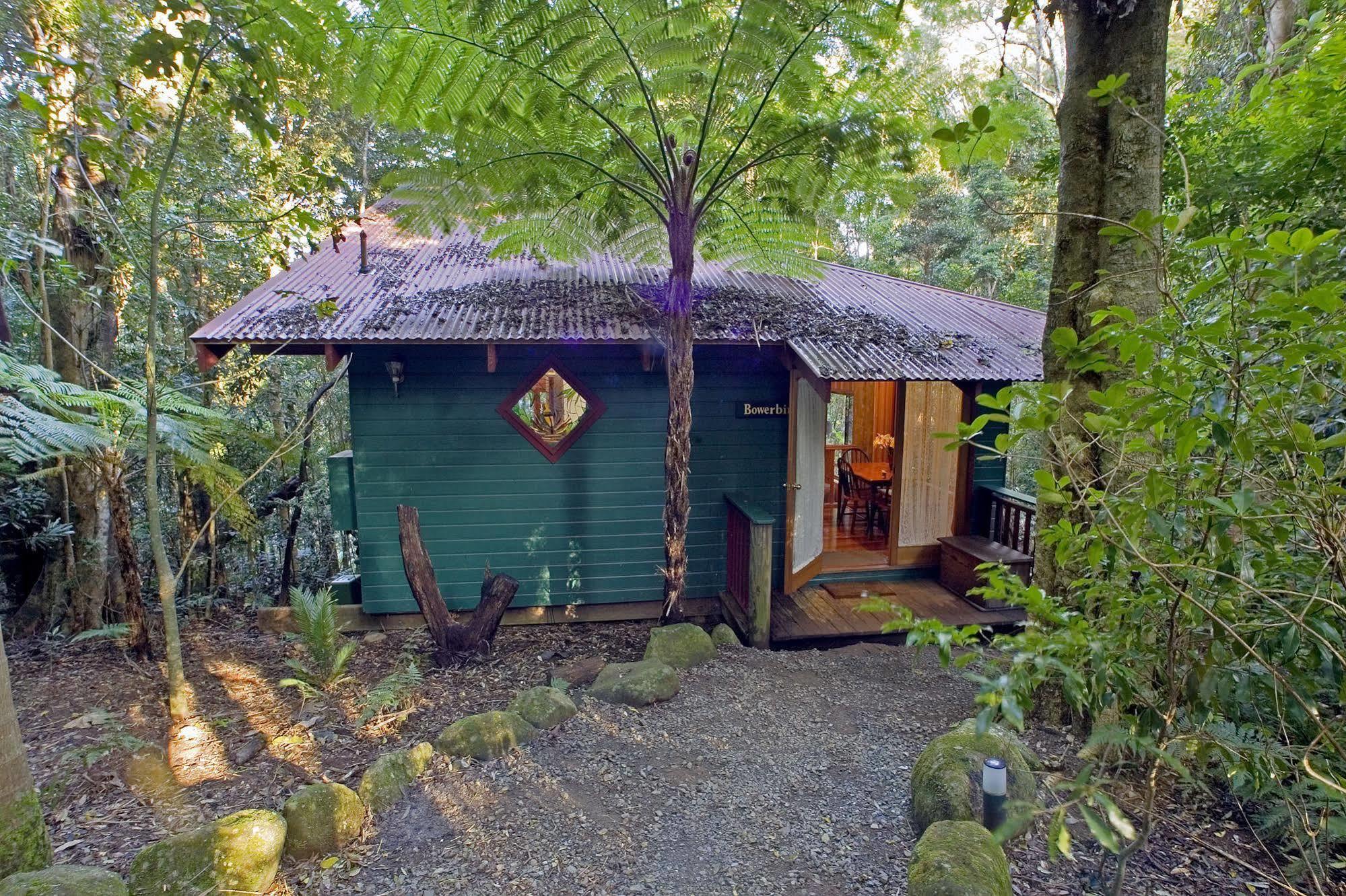 Willa Springbrook Lyrebird Retreat Zewnętrze zdjęcie