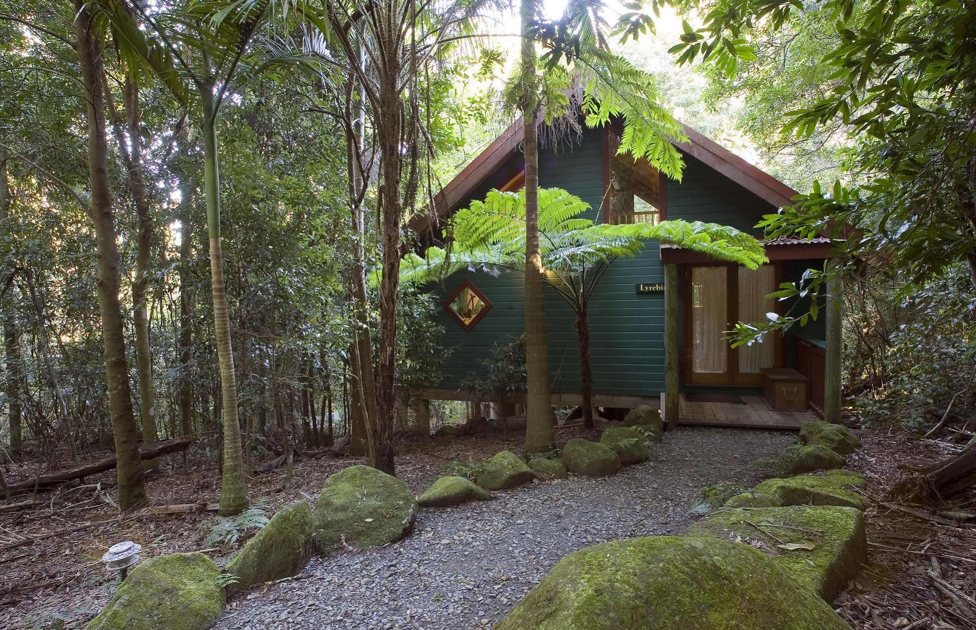 Willa Springbrook Lyrebird Retreat Zewnętrze zdjęcie