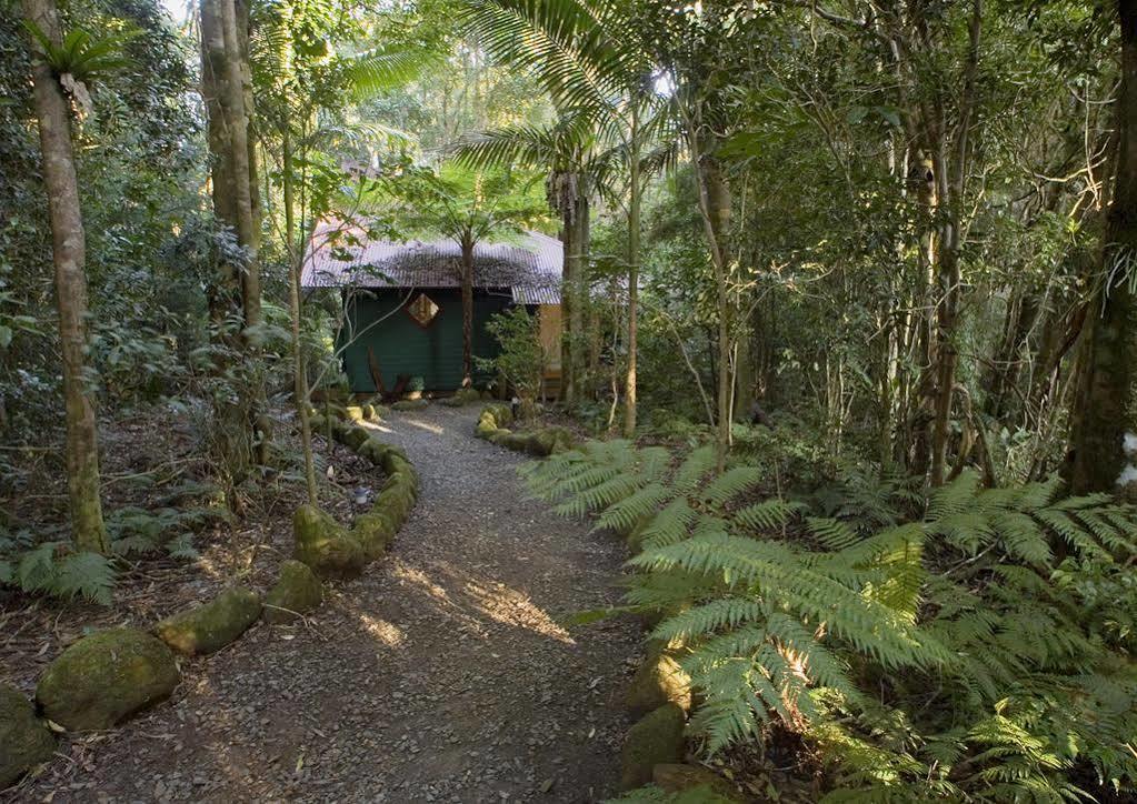 Willa Springbrook Lyrebird Retreat Zewnętrze zdjęcie