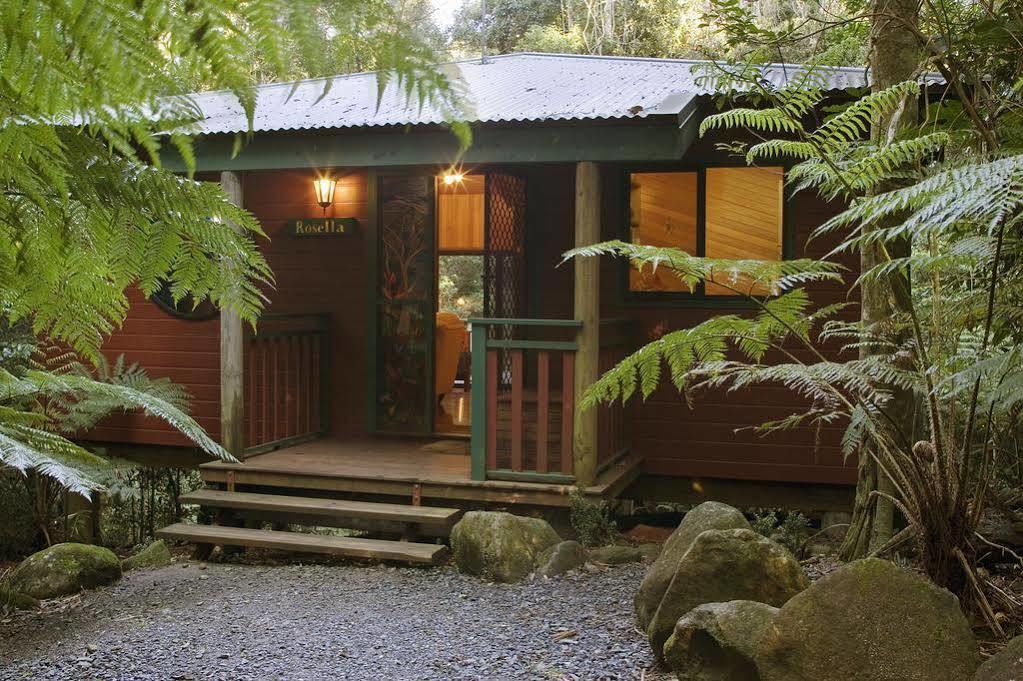 Willa Springbrook Lyrebird Retreat Zewnętrze zdjęcie