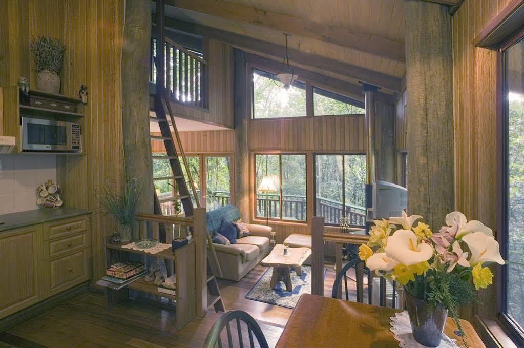 Willa Springbrook Lyrebird Retreat Zewnętrze zdjęcie